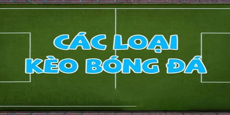 Các loại hình cá cược bóng đá đang có mặt tại 8XBET