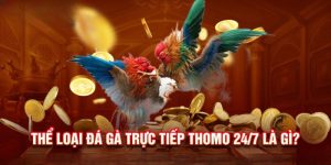 Khái quát về loại hình đá gà trực tiếp Thomo 24/7 